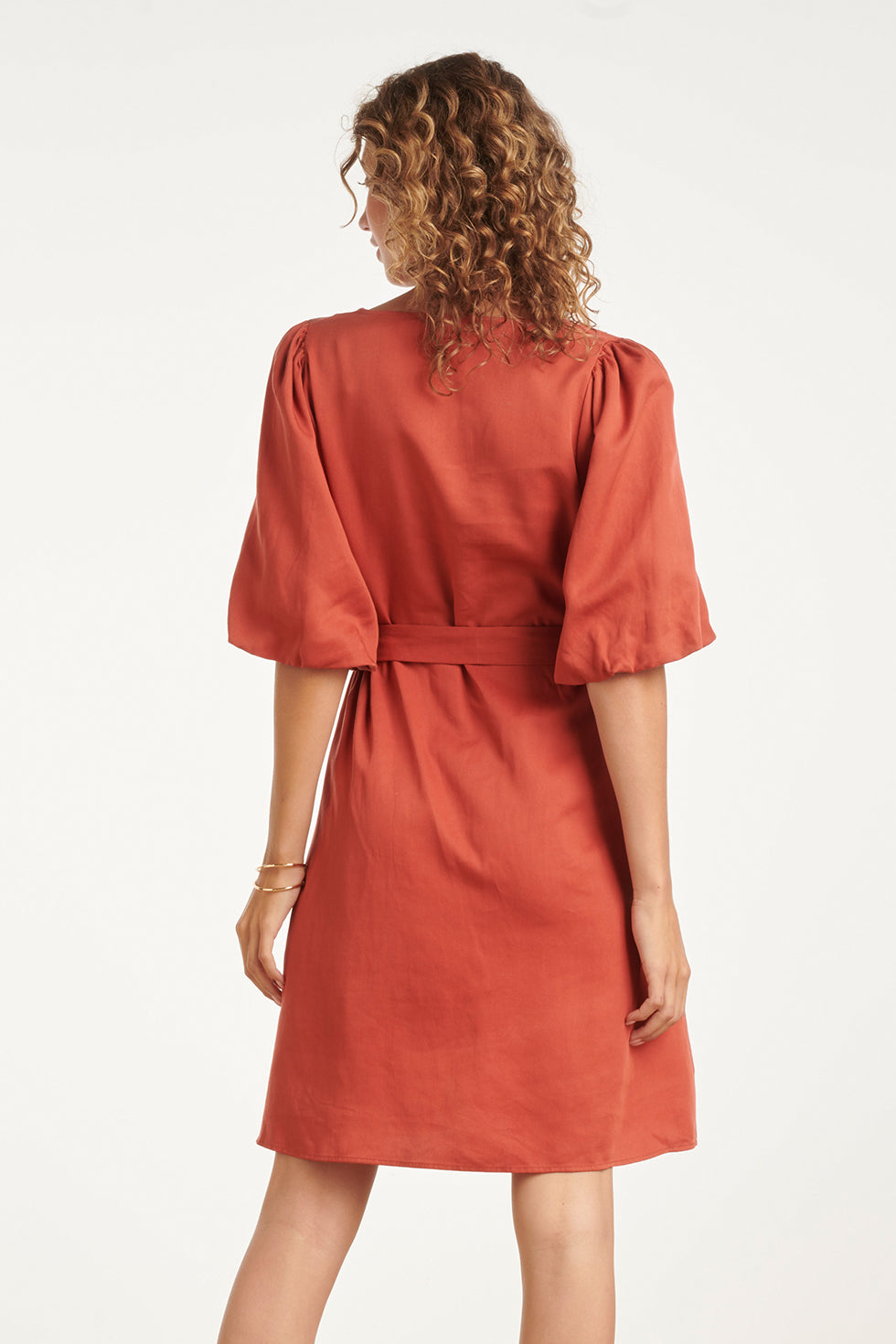 Brick back-view A-line dress with tie belt and short flutter sleeves