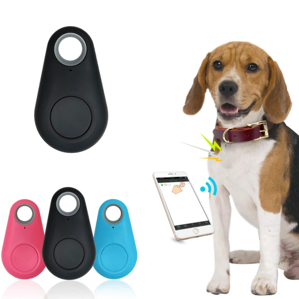 Mini GPS tracker key finder in black, pink, and blue with top attachment loop.