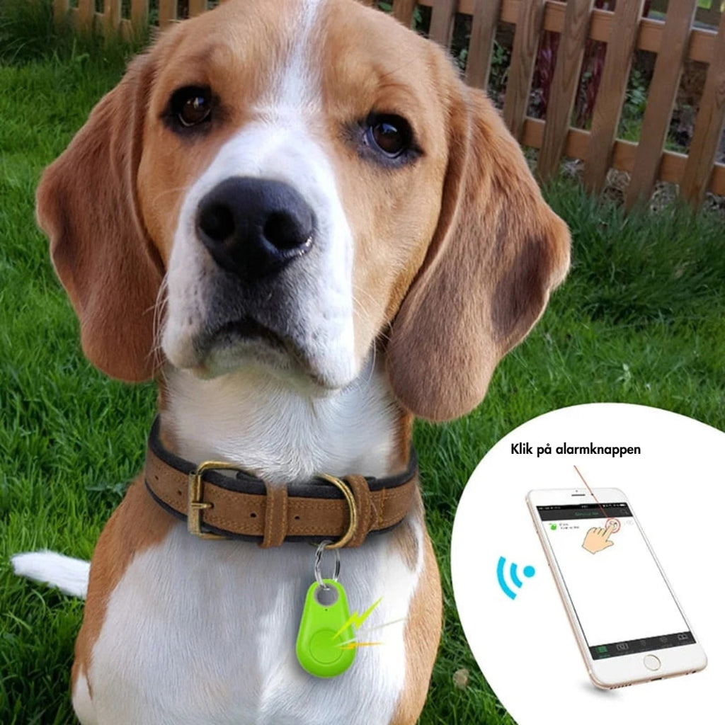 Mini GPS tracker on dog collar, bright green tag with keyring loop.